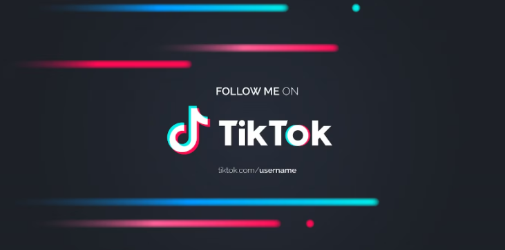 Återställ TikTok-konto 1